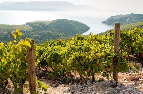 Turismo rurale, in Croazia il sesto Congresso internazionale