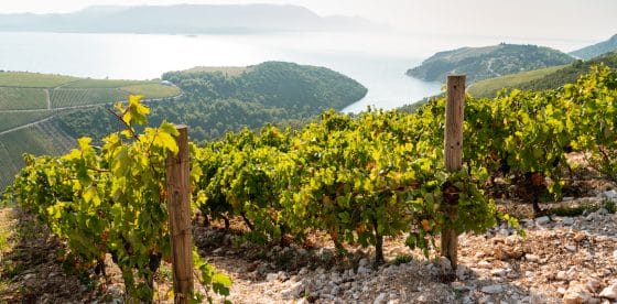 Turismo rurale, in Croazia il sesto Congresso internazionale