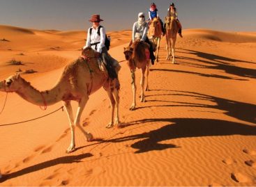 Oman Expert/3 Deserto
