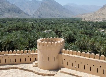 Oman Expert/2 Cultura