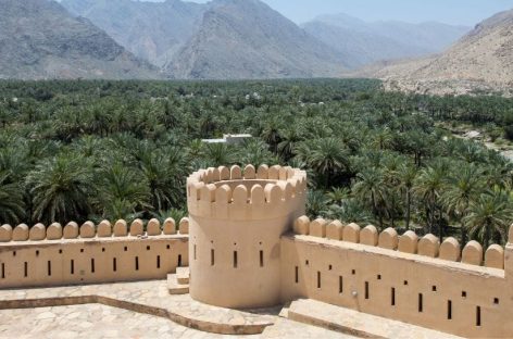 Oman Expert/2 Cultura