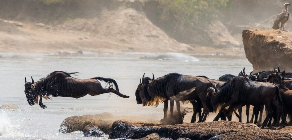 Riserva Nazionale Masai Mara adobe