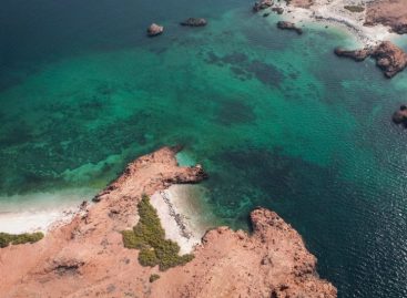 Partecipa al quiz n°3 per diventare Oman Expert