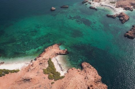 Partecipa al quiz n°3 per diventare Oman Expert