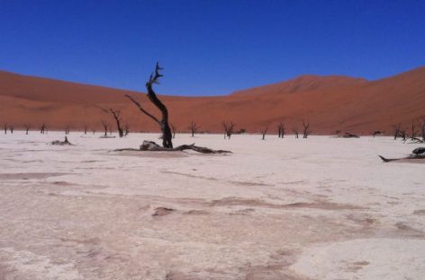 A JoyCo’ la rappresentanza italiana di Namibia Travel Connection