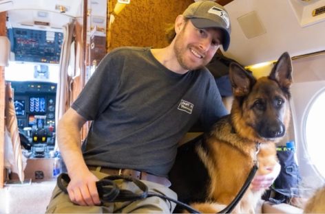 È arrivata K9Jets, la compagnia pet friendly sbarca in Italia