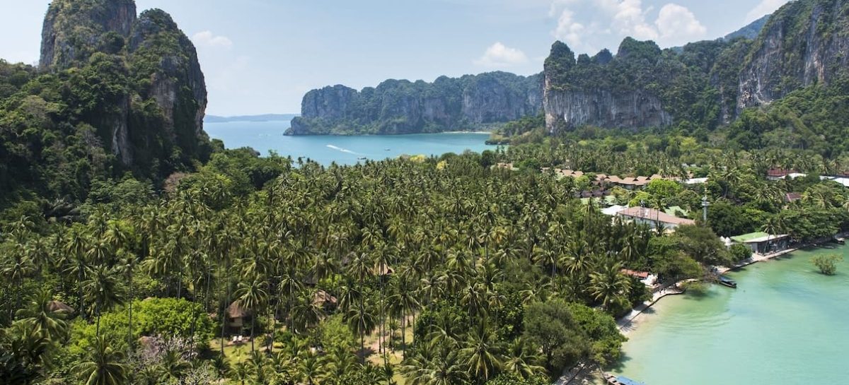 Viaggi di lusso, +26% per il t.o. Elefante nel primo semestre