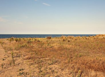 Siccità in Sicilia, Schifani: «Non c’è fuga di turisti»