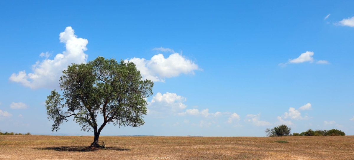 Sicilia senz’acqua: i media Usa allertano (ancora) i turisti