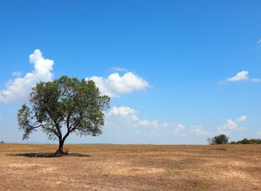 Sicilia senz’acqua: i media Usa allertano (ancora) i turisti