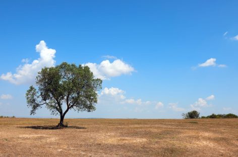 Sicilia senz’acqua: i media Usa allertano (ancora) i turisti