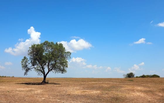 Sicilia senz’acqua: i media Usa allertano (ancora) i turisti