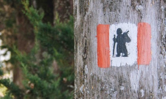 Via Francigena senza barriere in Piemonte