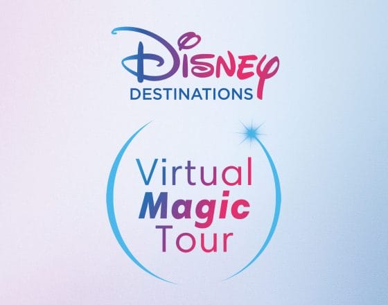 Disney Magic Tour visual