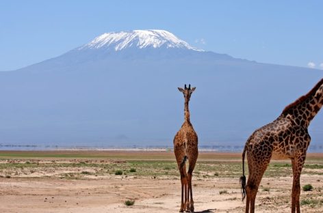 Nasce Uber Safari: primi tour in Kenya