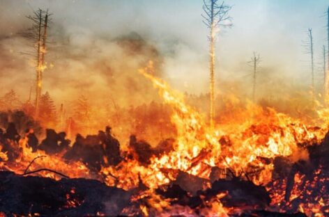 Incendio a Los Angeles, Farnesina: «Massima prudenza»