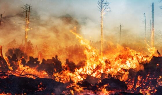 Incendio a Los Angeles, Farnesina: «Massima prudenza»