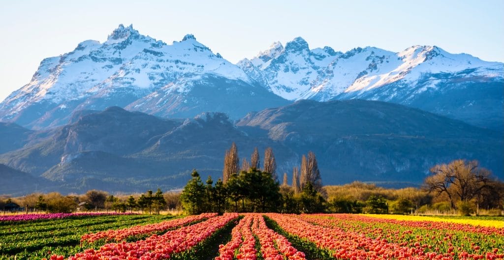 Patagonia-Argentina adobe