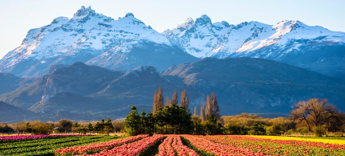 Gruppo Uvet, tris di cataloghi 2025 per il t.o. Amo il Mondo