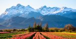 Effetto Milei sul turismo in Argentina: svolta premium