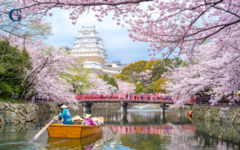 Guiness highlights da uff stampa