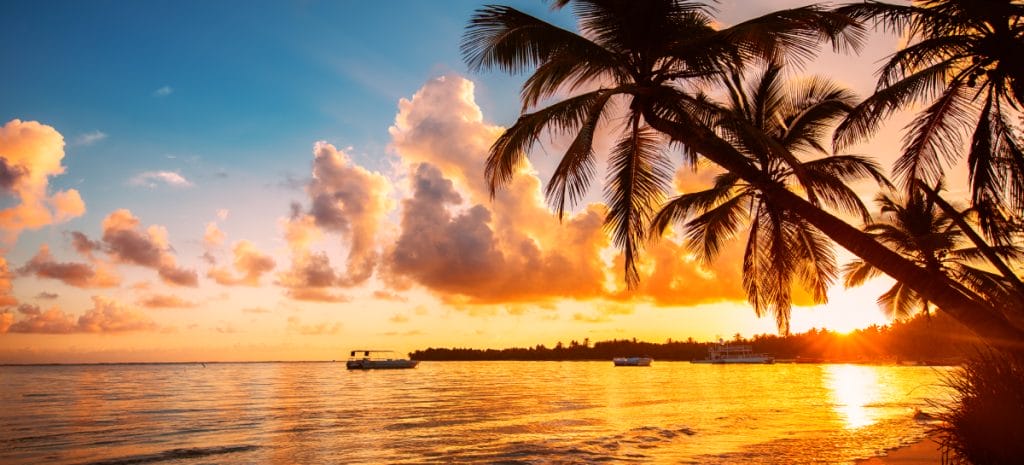 Palmtree silhouettes on the tropical beach, Punta Cana, Dominican Republic_adobe