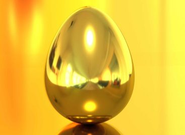 Voli, la gallina Premium dalle uova d’oro