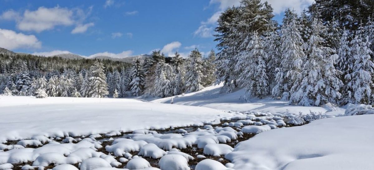 Montagna, 11 milioni di euro alla Calabria dal Mitur