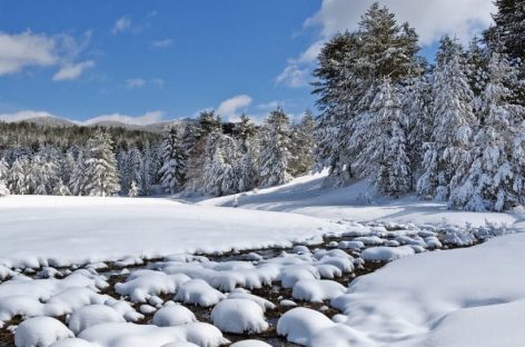 Montagna, 11 milioni di euro alla Calabria dal Mitur