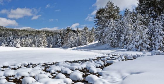 Montagna, 11 milioni di euro alla Calabria dal Mitur