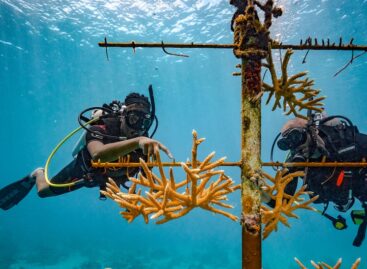 Caraibi, se l’amore supera il business. Il report Sandals Resorts