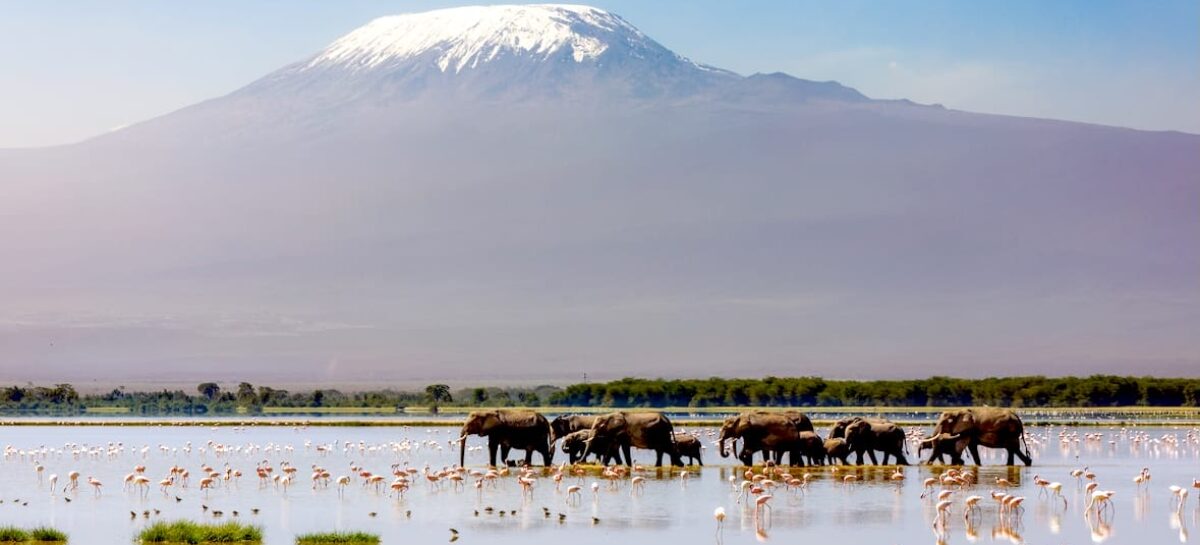 Kenya in rimonta: oltre 2,4 milioni di arrivi in un anno