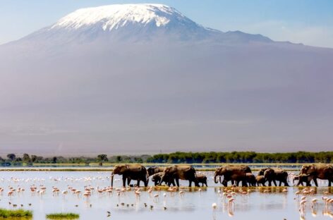 Kenya in rimonta: oltre 2,4 milioni di arrivi in un anno