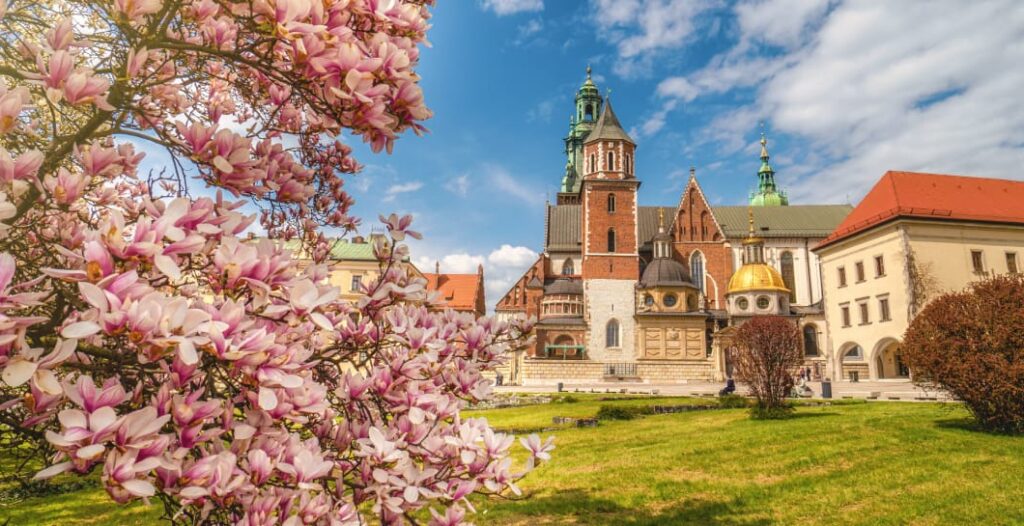 Krakow, Wawel, Polonia_uff.st.Ente