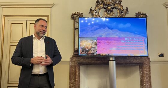 Ras Al Khaimah Credit Ladv