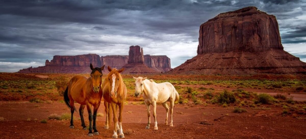 Full immersion nella natura con Usa e Canada Experience