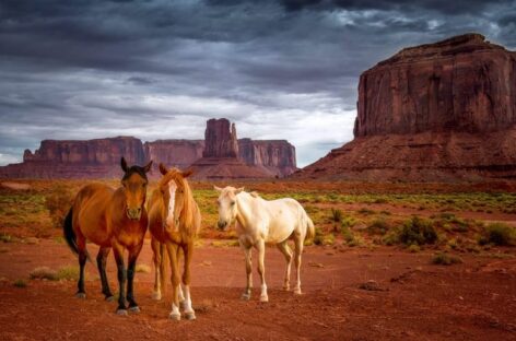 Full immersion nella natura con Usa e Canada Experience