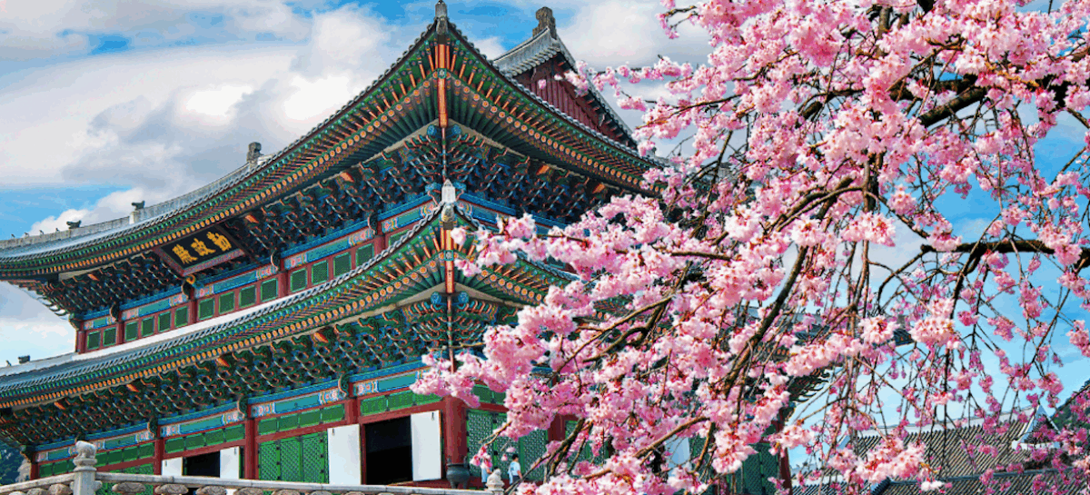 La dmc Golden Tour Korea si affida a Global Gsa