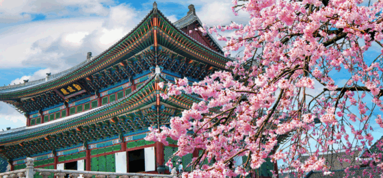 La dmc Golden Tour Korea si affida a Global Gsa