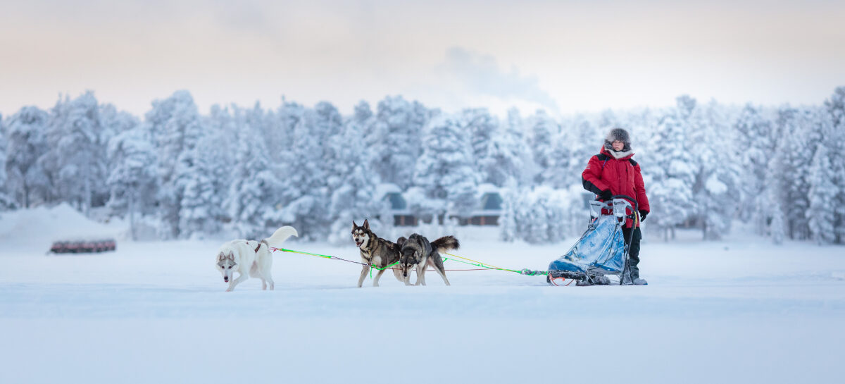 Lapponia, fuga dall’overtourism a Ivalo: l’alternativa Giver