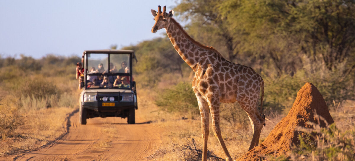 Tanzania, ipotesi assicurazione obbligatoria da 44 dollari