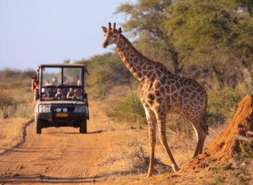 Tanzania, ipotesi assicurazione obbligatoria da 44 dollari