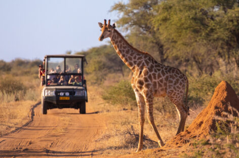 Tanzania, ipotesi assicurazione obbligatoria da 44 dollari