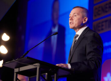 IndiGo tenta il salto con il ceo Willie Walsh