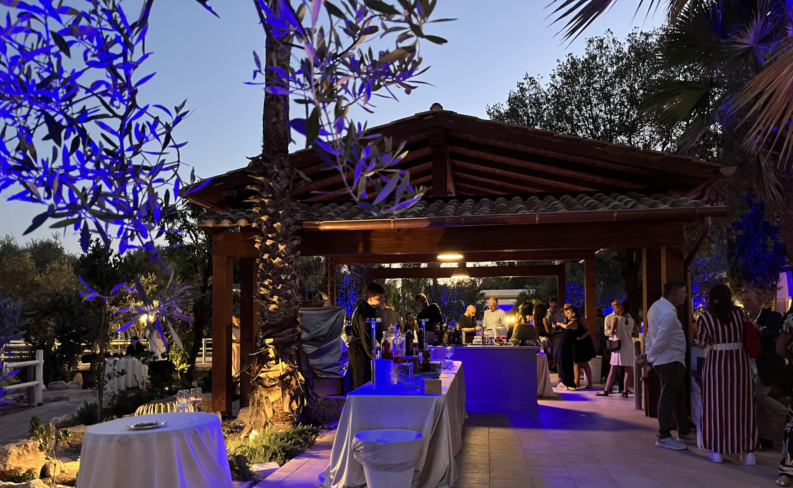 Il Bosco di Idee per Viaggiare Credit Ladv