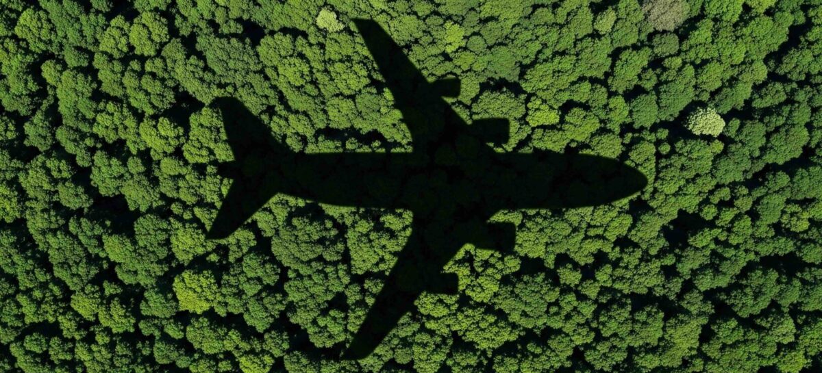 Iata ai governi: “Sbloccare i crediti di carbonio”