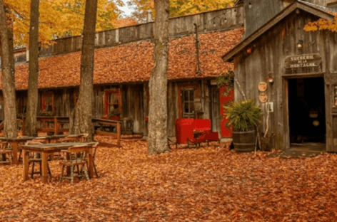 Il meglio del foliage con Canada Experience