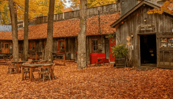 Il meglio del foliage con Canada Experience