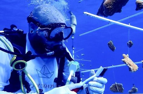 Msc Crociere, cosa contiene il Rapporto di sostenibilità 2024