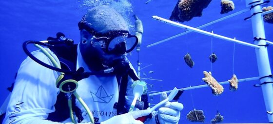 Msc Crociere, cosa contiene il Rapporto di sostenibilità 2024